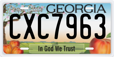 GA license plate CXC7963