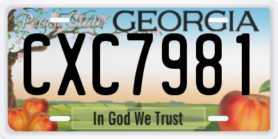 GA license plate CXC7981