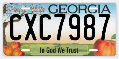 GA license plate CXC7987