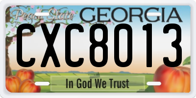 GA license plate CXC8013