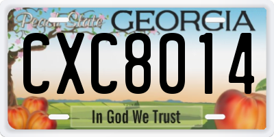 GA license plate CXC8014