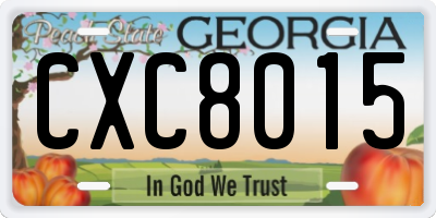 GA license plate CXC8015