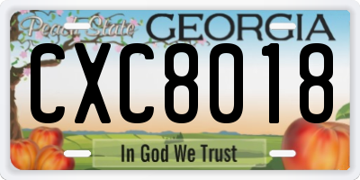 GA license plate CXC8018