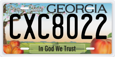 GA license plate CXC8022