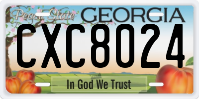GA license plate CXC8024