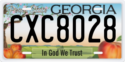 GA license plate CXC8028