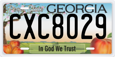 GA license plate CXC8029