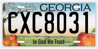 GA license plate CXC8031