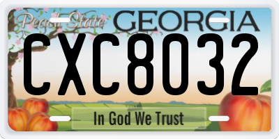 GA license plate CXC8032