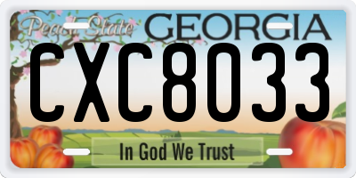 GA license plate CXC8033