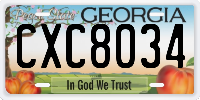 GA license plate CXC8034