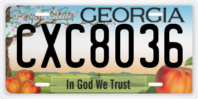 GA license plate CXC8036