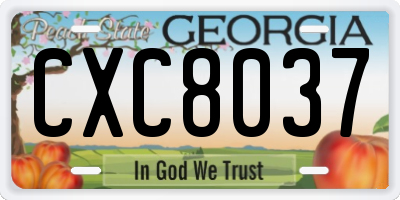 GA license plate CXC8037