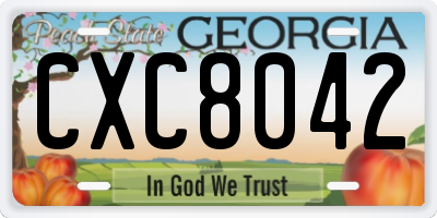 GA license plate CXC8042