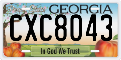 GA license plate CXC8043