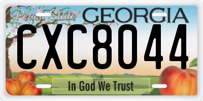GA license plate CXC8044