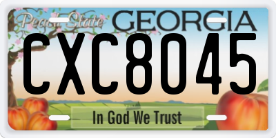 GA license plate CXC8045