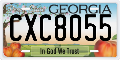 GA license plate CXC8055