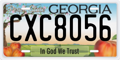 GA license plate CXC8056