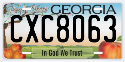 GA license plate CXC8063