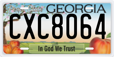 GA license plate CXC8064
