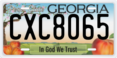 GA license plate CXC8065