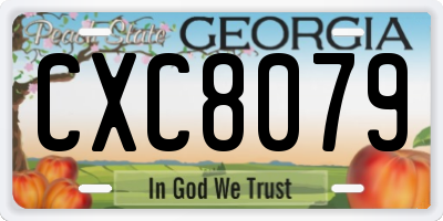 GA license plate CXC8079
