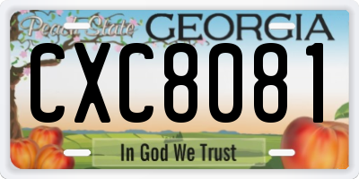 GA license plate CXC8081