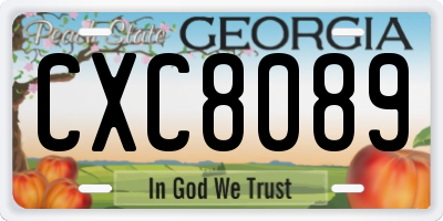 GA license plate CXC8089