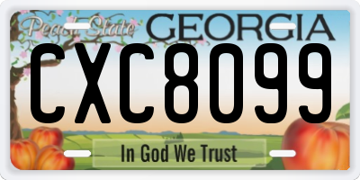 GA license plate CXC8099