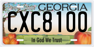 GA license plate CXC8100