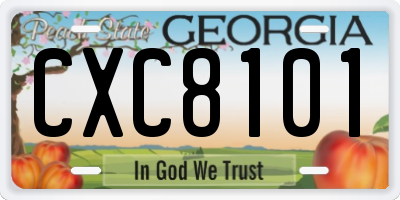 GA license plate CXC8101