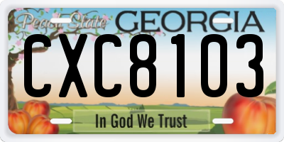 GA license plate CXC8103