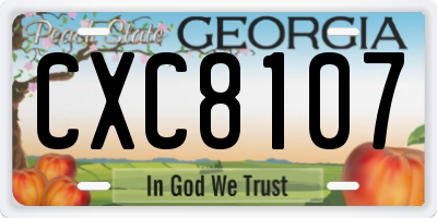 GA license plate CXC8107