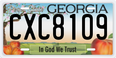 GA license plate CXC8109