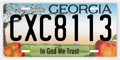 GA license plate CXC8113