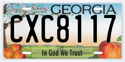 GA license plate CXC8117