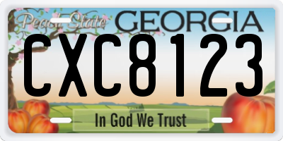 GA license plate CXC8123