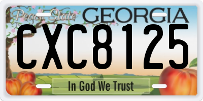 GA license plate CXC8125