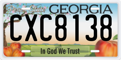 GA license plate CXC8138