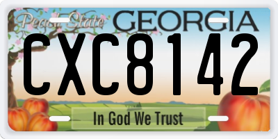 GA license plate CXC8142