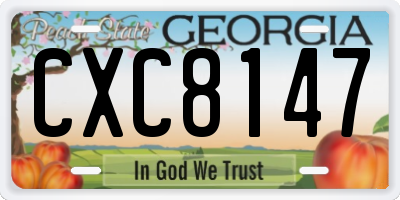 GA license plate CXC8147