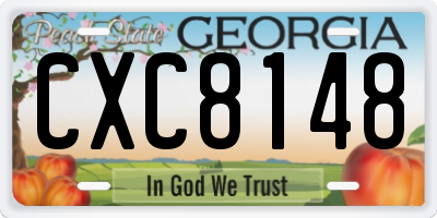 GA license plate CXC8148
