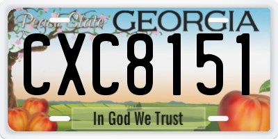 GA license plate CXC8151