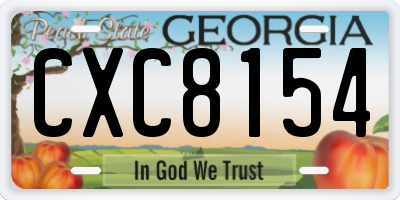 GA license plate CXC8154