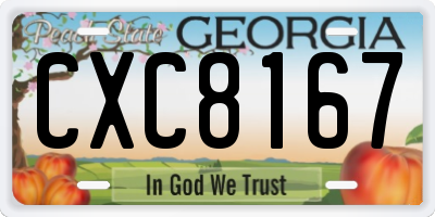 GA license plate CXC8167