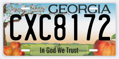 GA license plate CXC8172