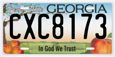 GA license plate CXC8173