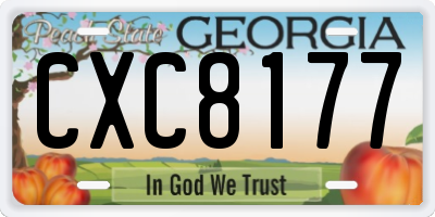 GA license plate CXC8177