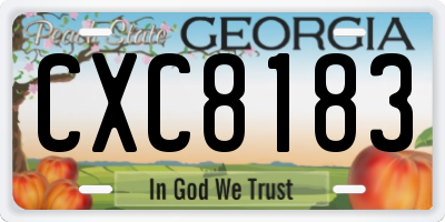 GA license plate CXC8183
